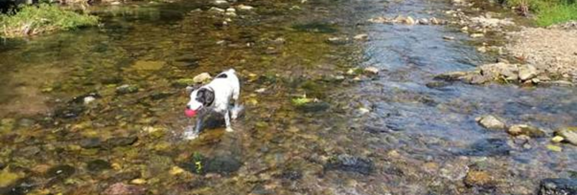 Lynmouth and Ford