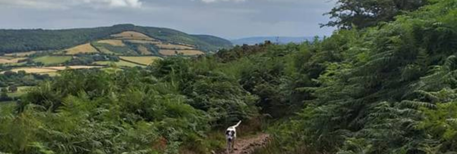 The Coleridge Way: Porlock to Roadwater